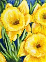 Daffodils_1.jpg