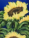 Sunflower_1.jpg