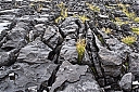 The_Burren_Ireland.jpg