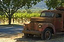 Napa__grapes__8587.jpg