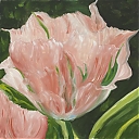 China_Town_Tulip_30x30.jpg