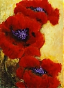 Filename=Poppies2_JPG.jpg
Filesize=71KiB
Dimensions=439x600
Date added=Sep 26, 2012 Poppies2_JPG.jpg