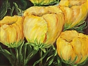 Sunrise_Tulips_jpg.jpg