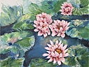 Tropical_Waterlillies_jpg.jpg