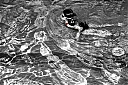 Filename=In_The_Pool.jpg
Filesize=124KiB
Dimensions=600x400
Date added=Aug 31, 2013 In_The_Pool.jpg