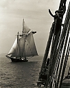 Filename=Lettie_G_Howard.jpg
Filesize=86KiB
Dimensions=481x600
Date added=Oct 06, 2012 Lettie_G_Howard.jpg