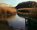 Piermont_Marsh_color.jpg