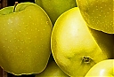 Yellow_Apples.jpg