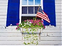 Patriotic_Windowbox.jpg