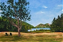 jordan_pond.jpg